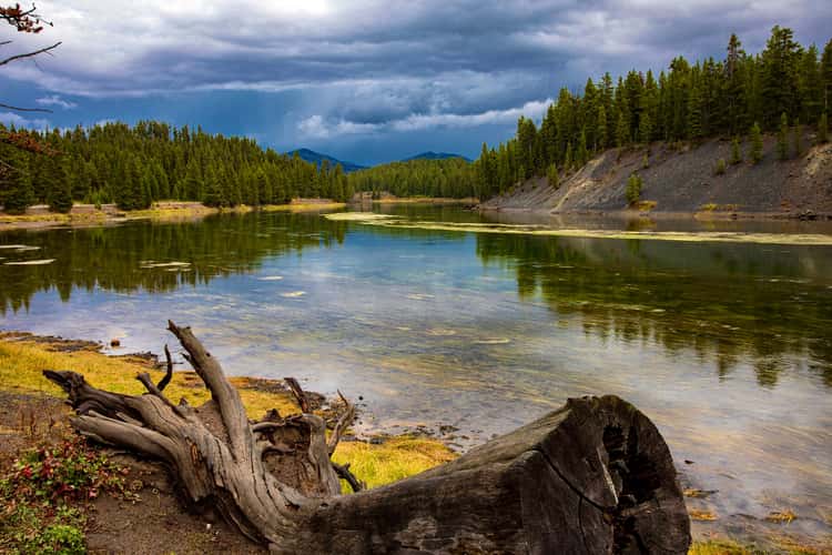Yellowstone River
