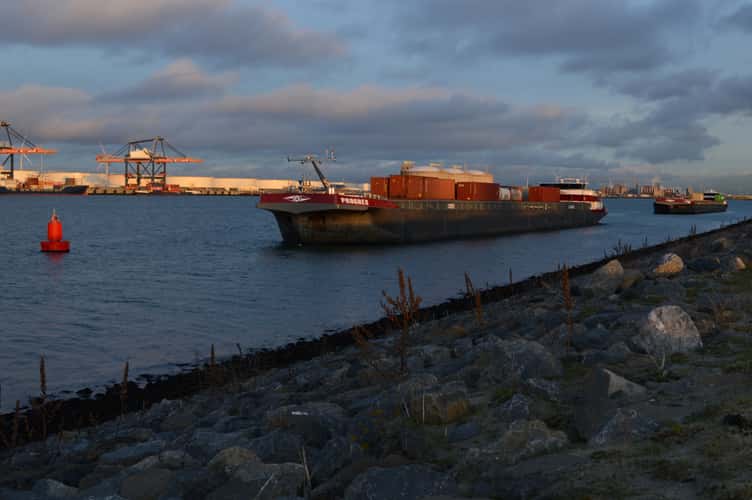 2e maasvlakte