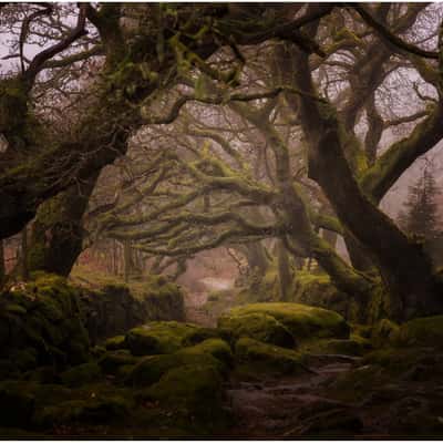 Burritor Reservoir, United Kingdom