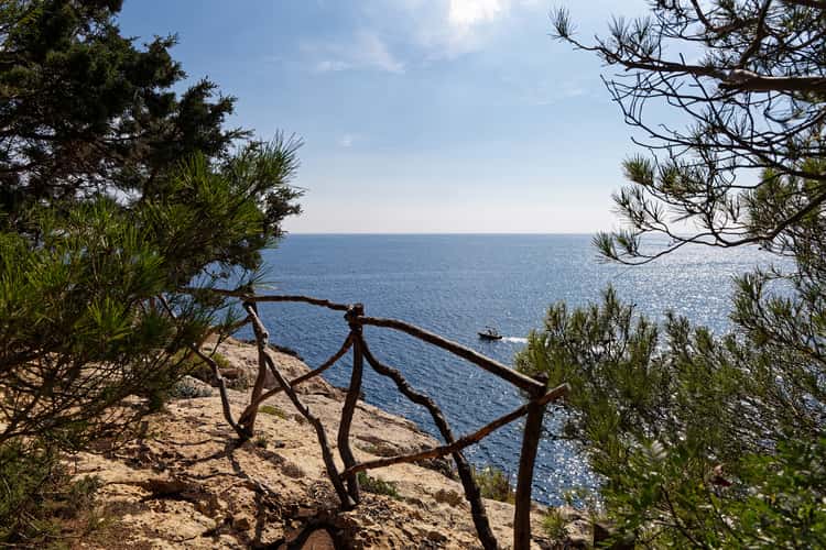 Cami de cavalls between Cala Escorxada and Platja Binigaus