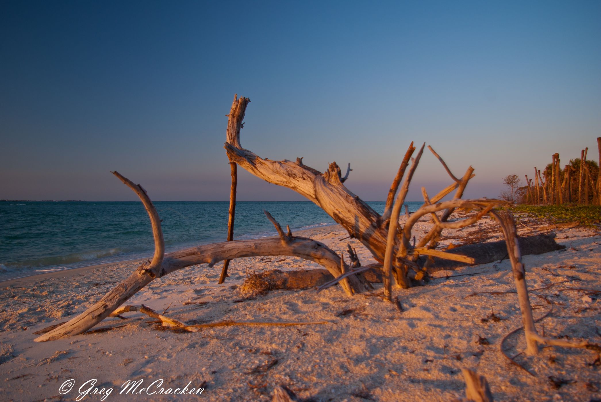 Cayo Costa State Park, USA