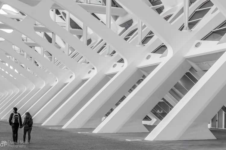 City of Arts and Sciences, Valencia