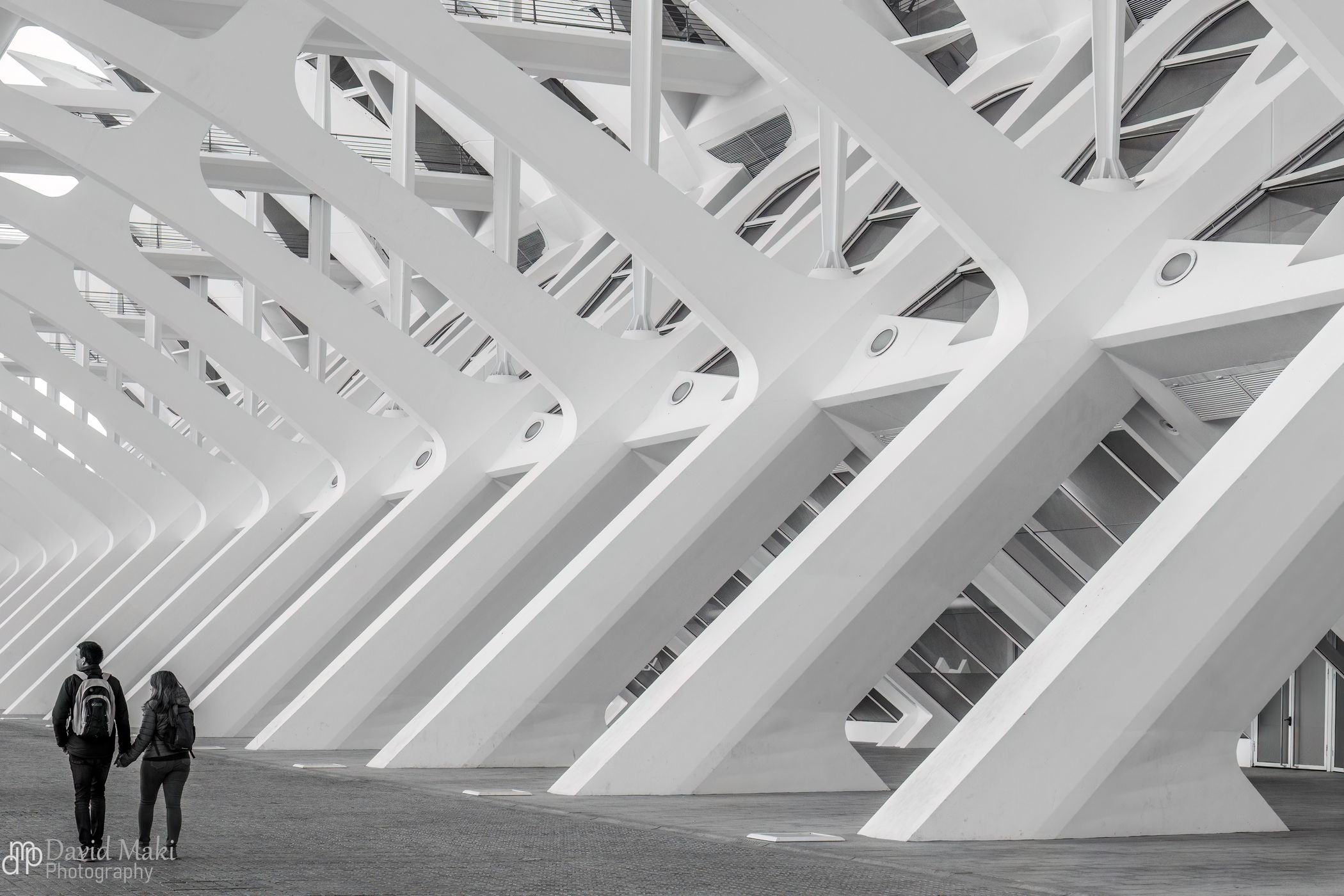 City of Arts and Sciences, Valencia, Spain