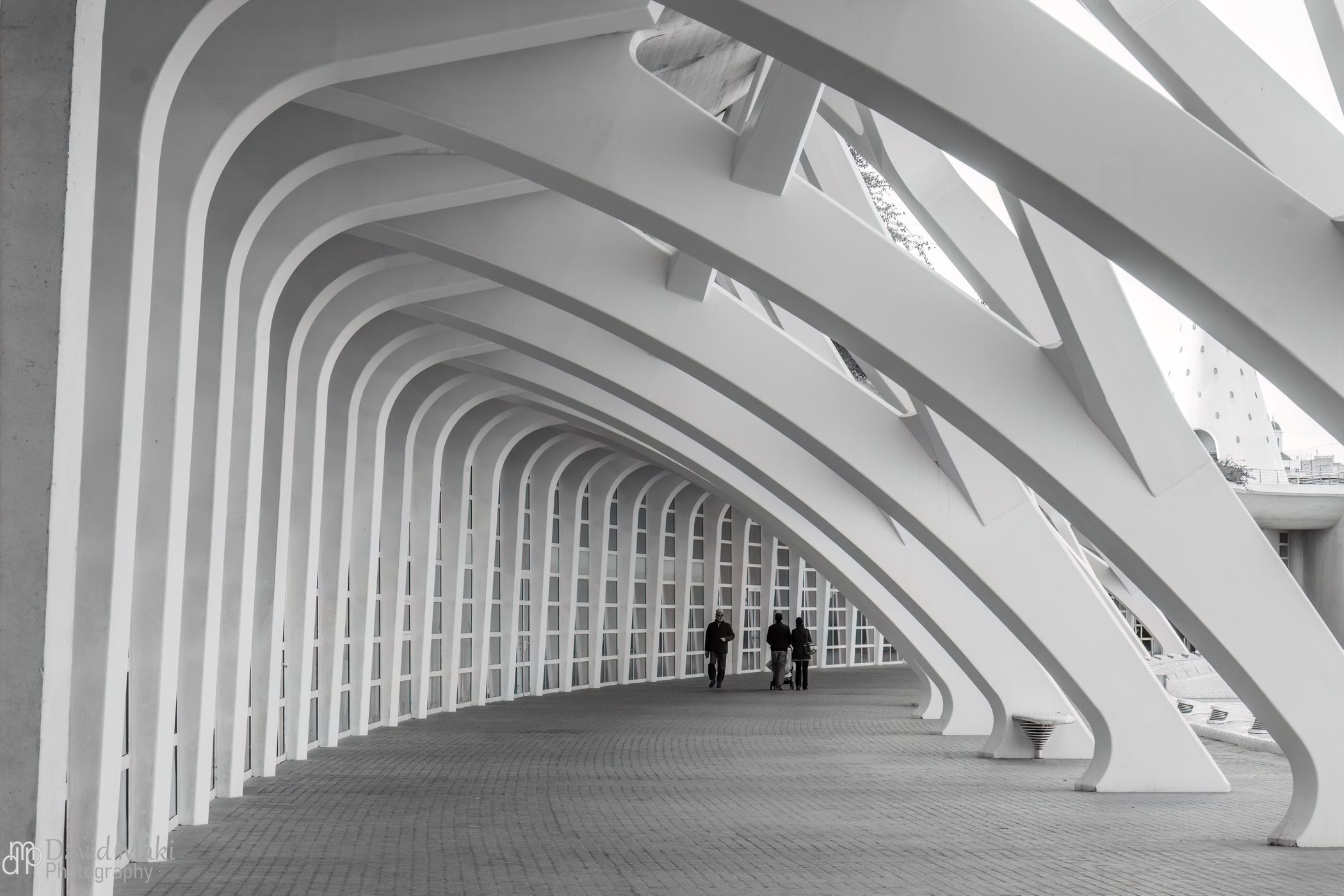 City of Arts and Sciences, Valencia, Spain
