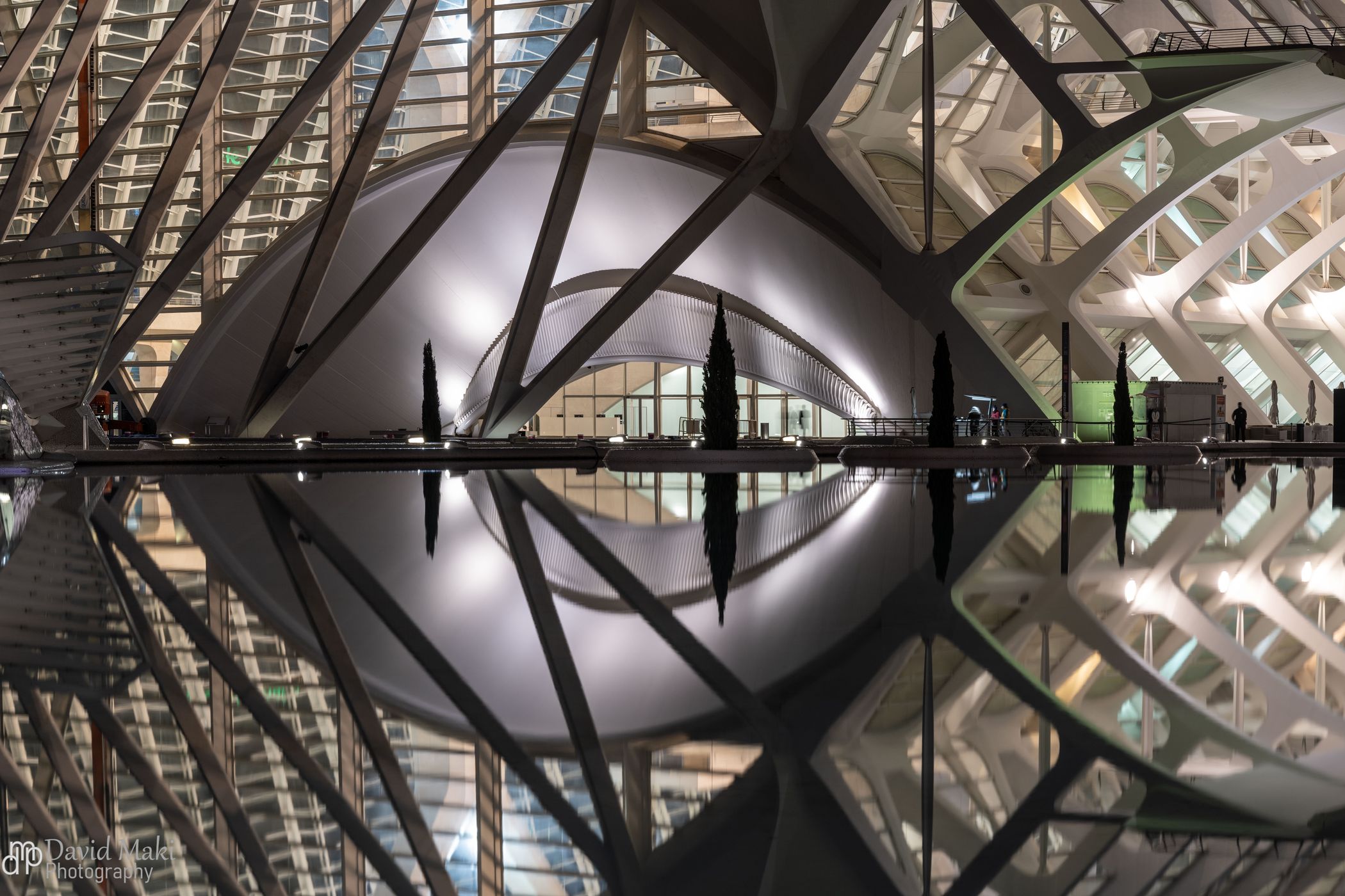 City of Arts and Sciences, Valencia, Spain