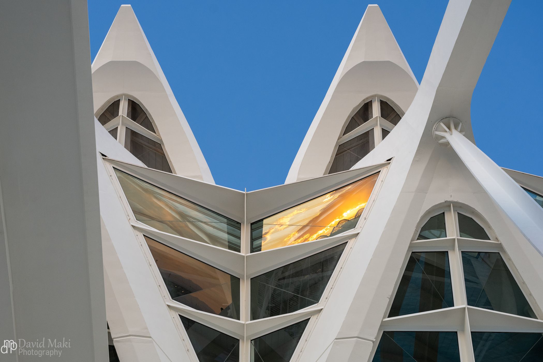 City of Arts and Sciences, Valencia, Spain