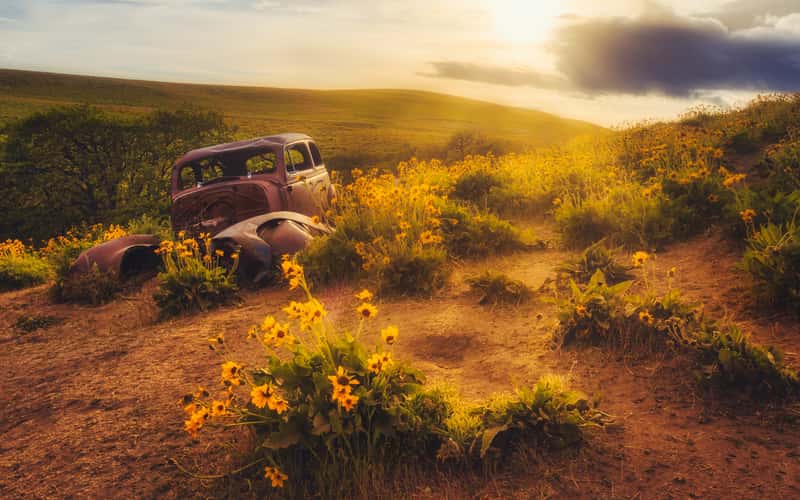 Dalles Mountain Ranch