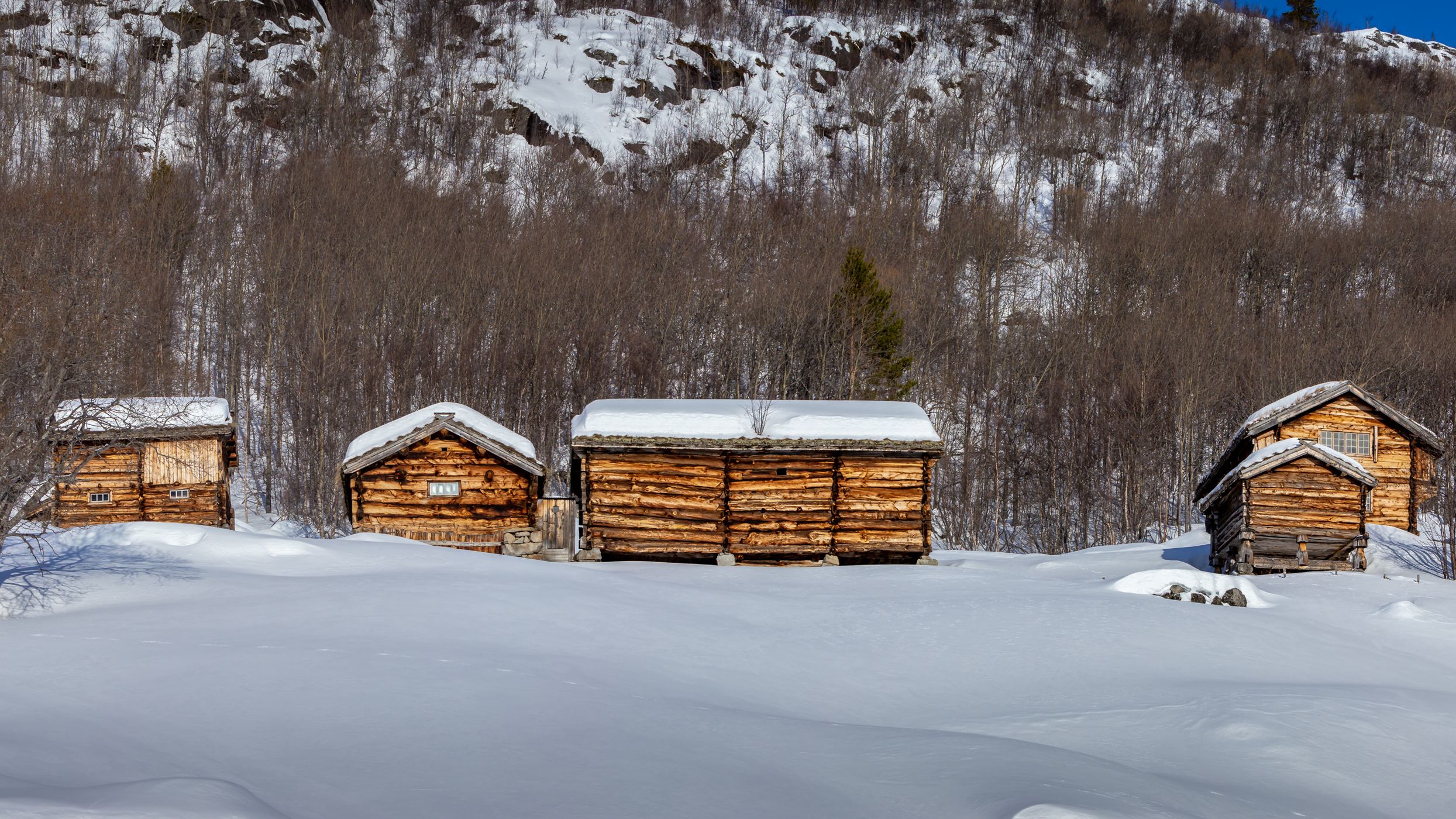 Dokki farm, Norway