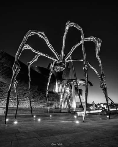 Guggenheim Museum, Bilbao