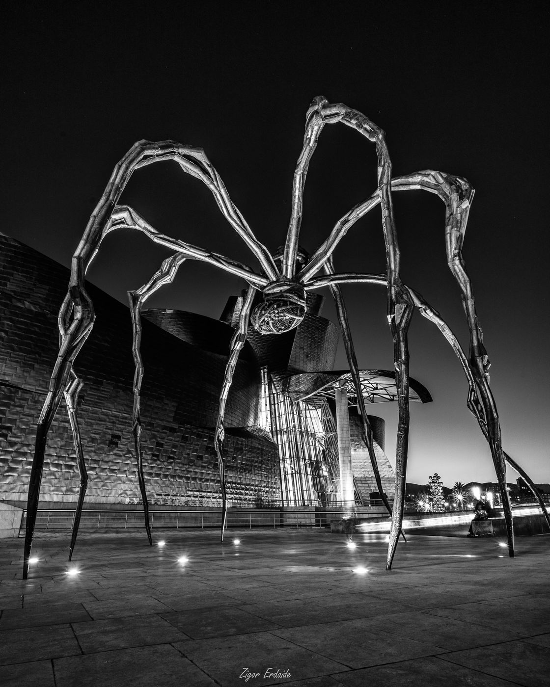 Guggenheim Museum, Bilbao, Spain