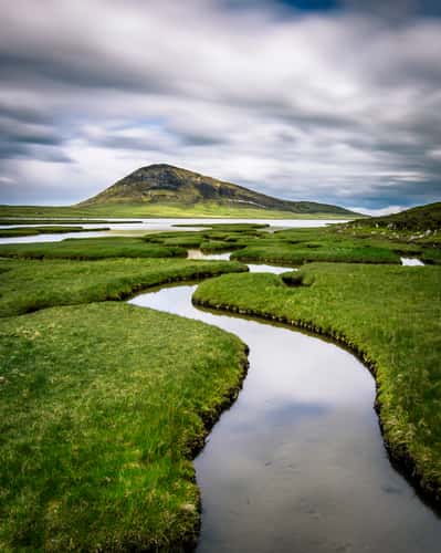 Harris Salt Marshes