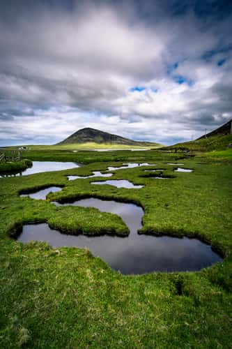 Harris Salt Marshes