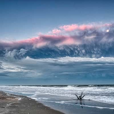 Huntington Beach State park, USA