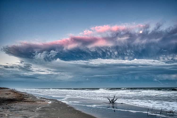 Huntington Beach State park