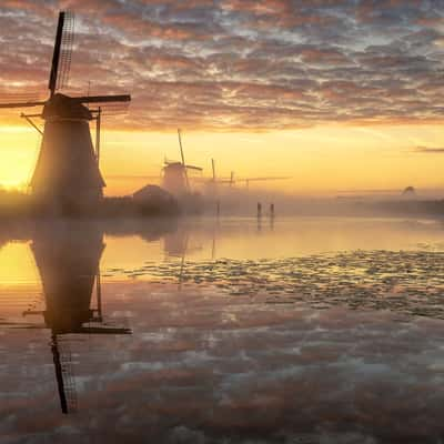 Kinderdijk near Rotterdam, Netherlands