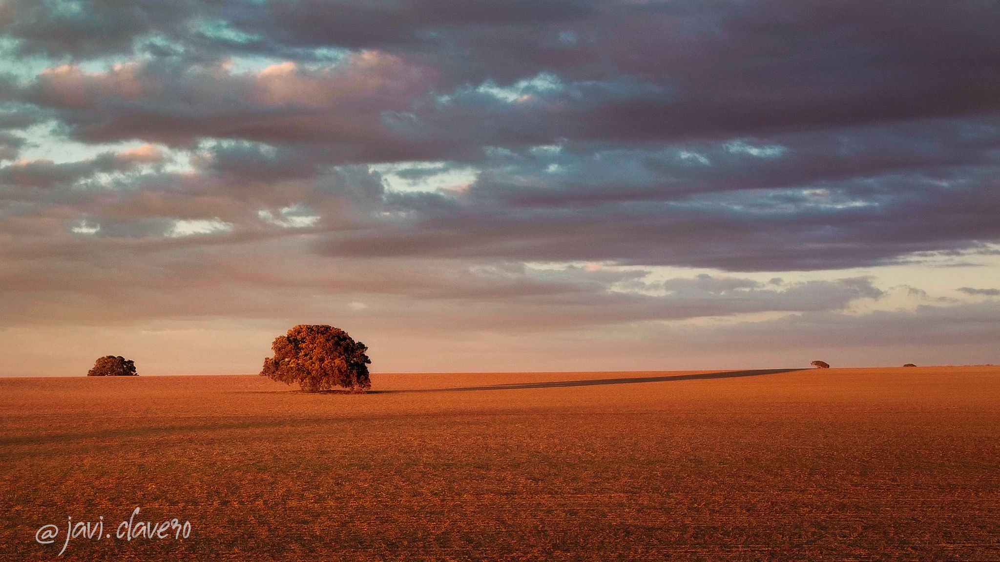 La Mancha Fields, Spain