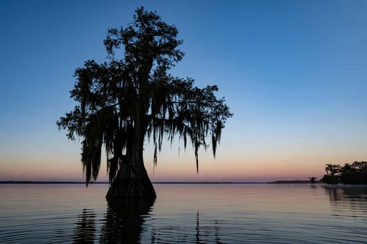 Lake Fausse Pointe State Park