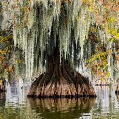 Lake Martin, USA