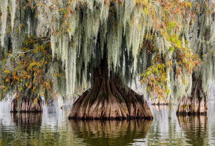 Lake Martin