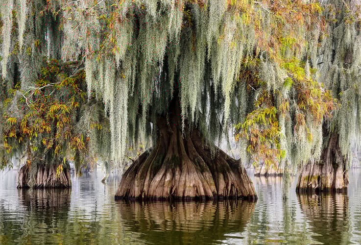 Lake Martin