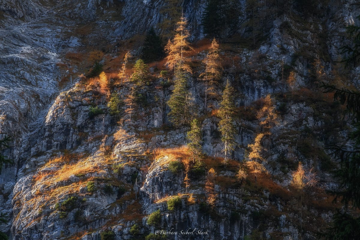 Langbathseen, Austria