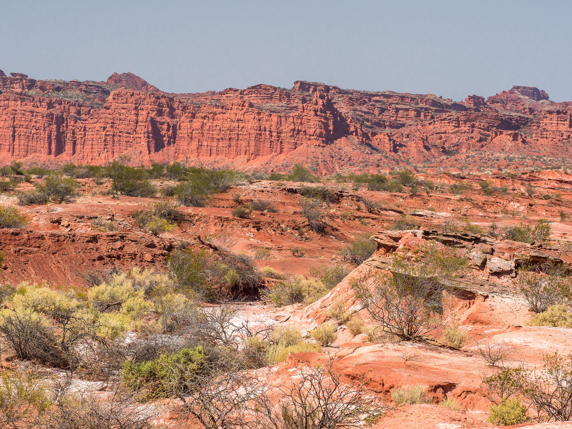 Los Colorados Canyons, Argentina