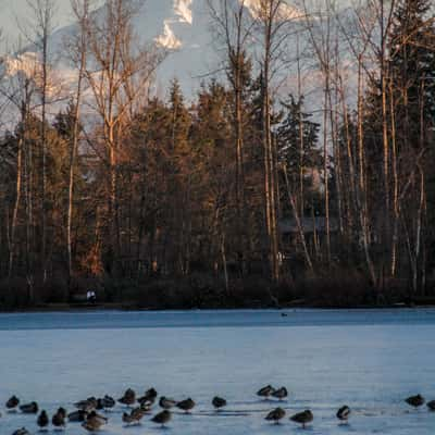 Mill Lake Park, Canada