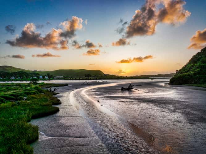 Mud Flats, Awakino River, Awakino, North Island