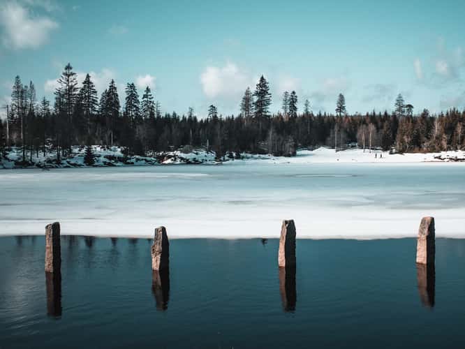 Oderteich view