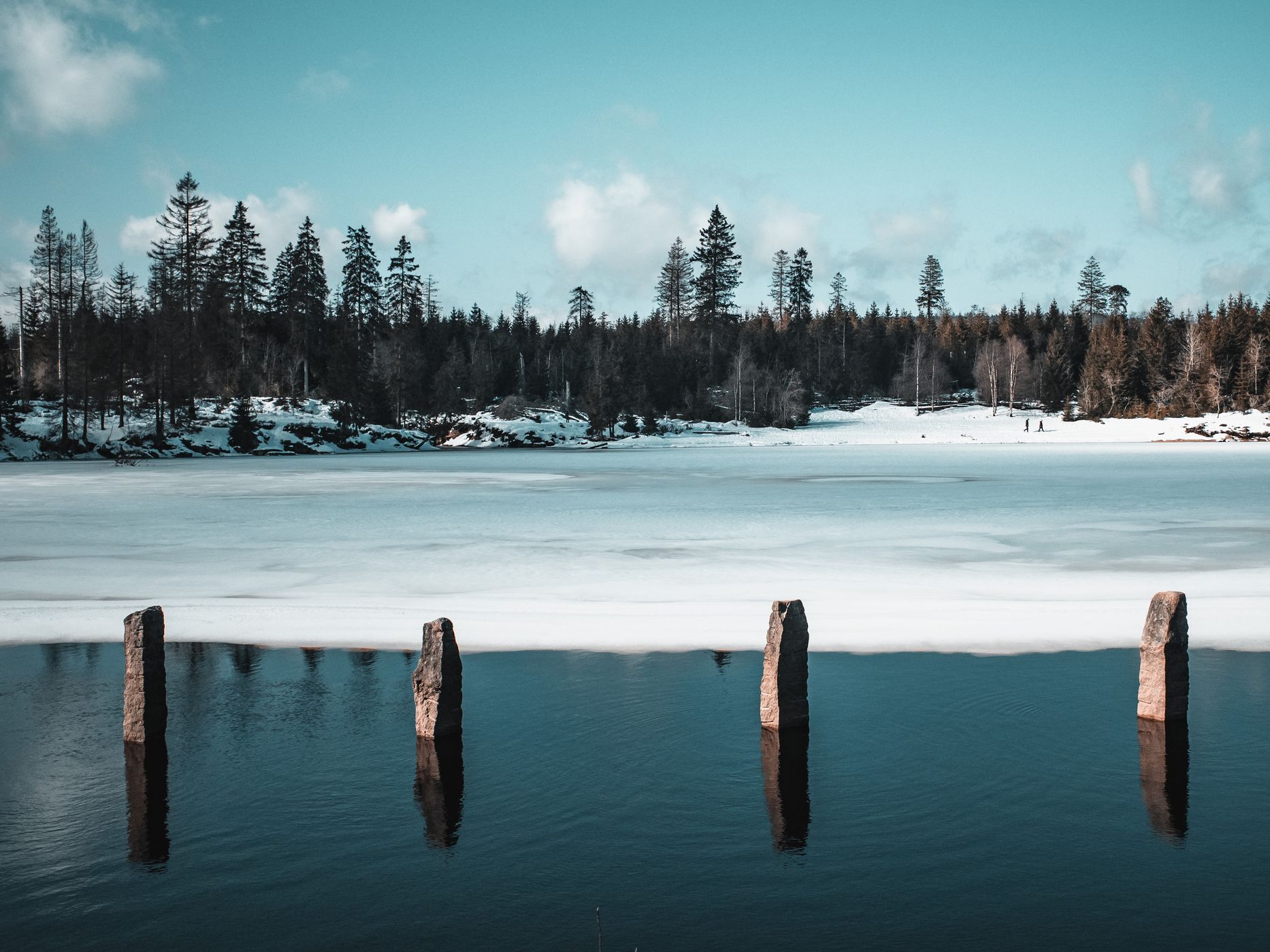 Oderteich view, Germany