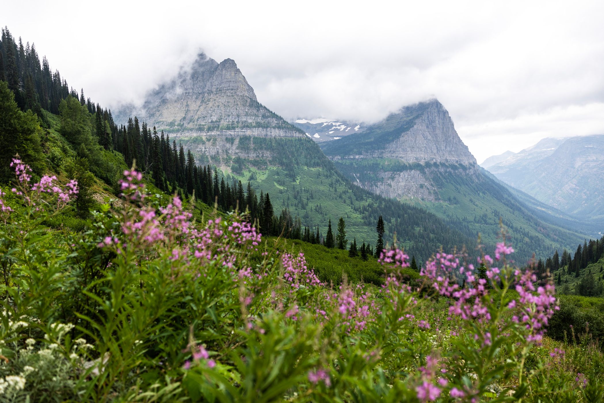 Paradise Meadow Overlook, USA