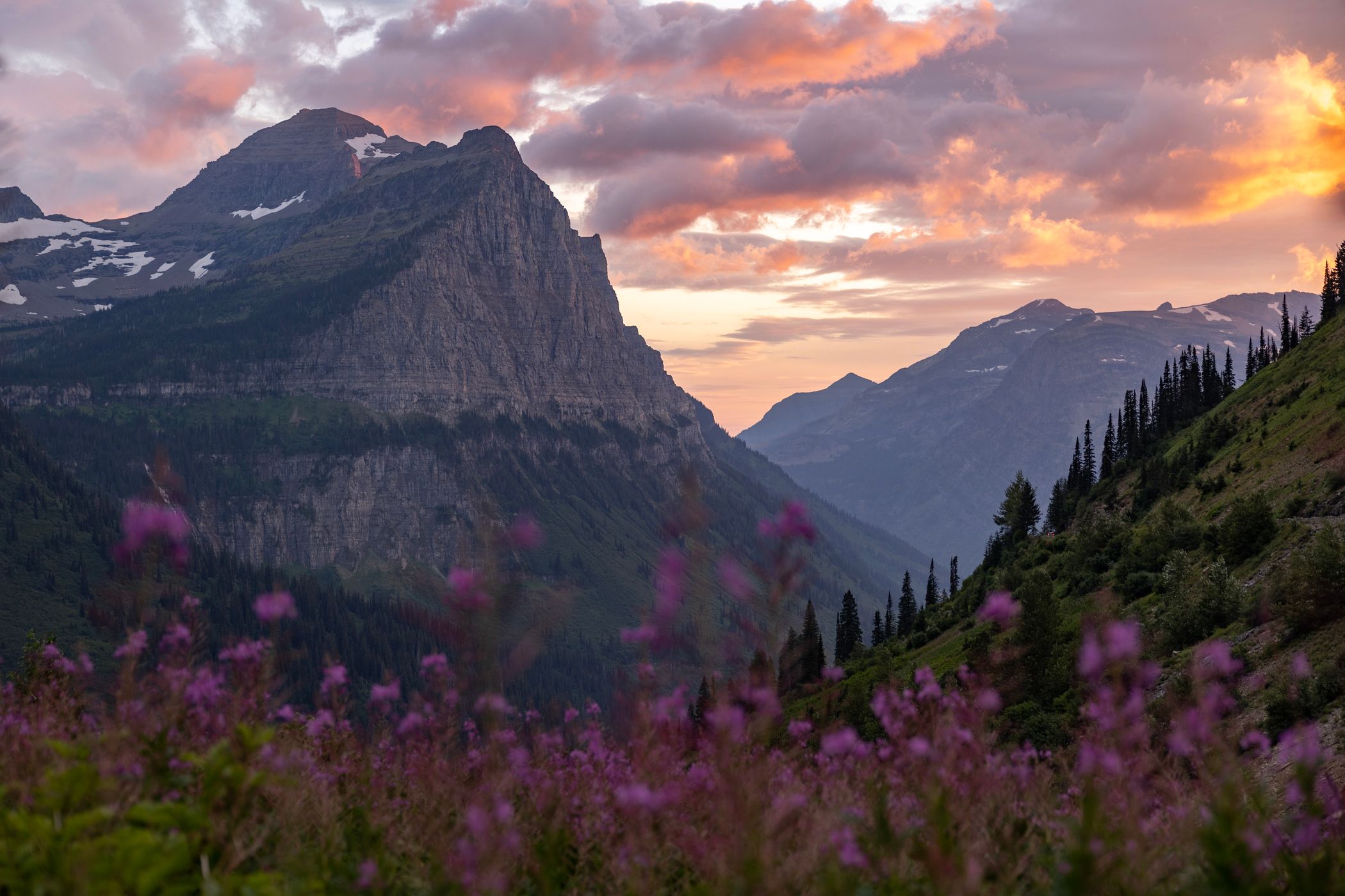 Paradise Meadow Overlook, USA