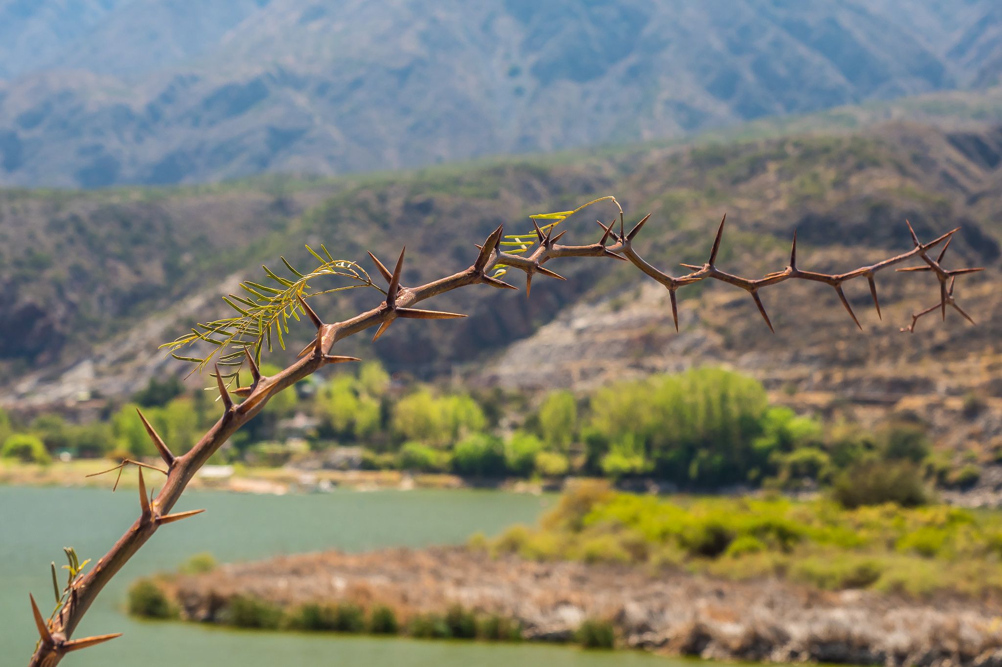 Parque Dique de Los Sauces, Argentina