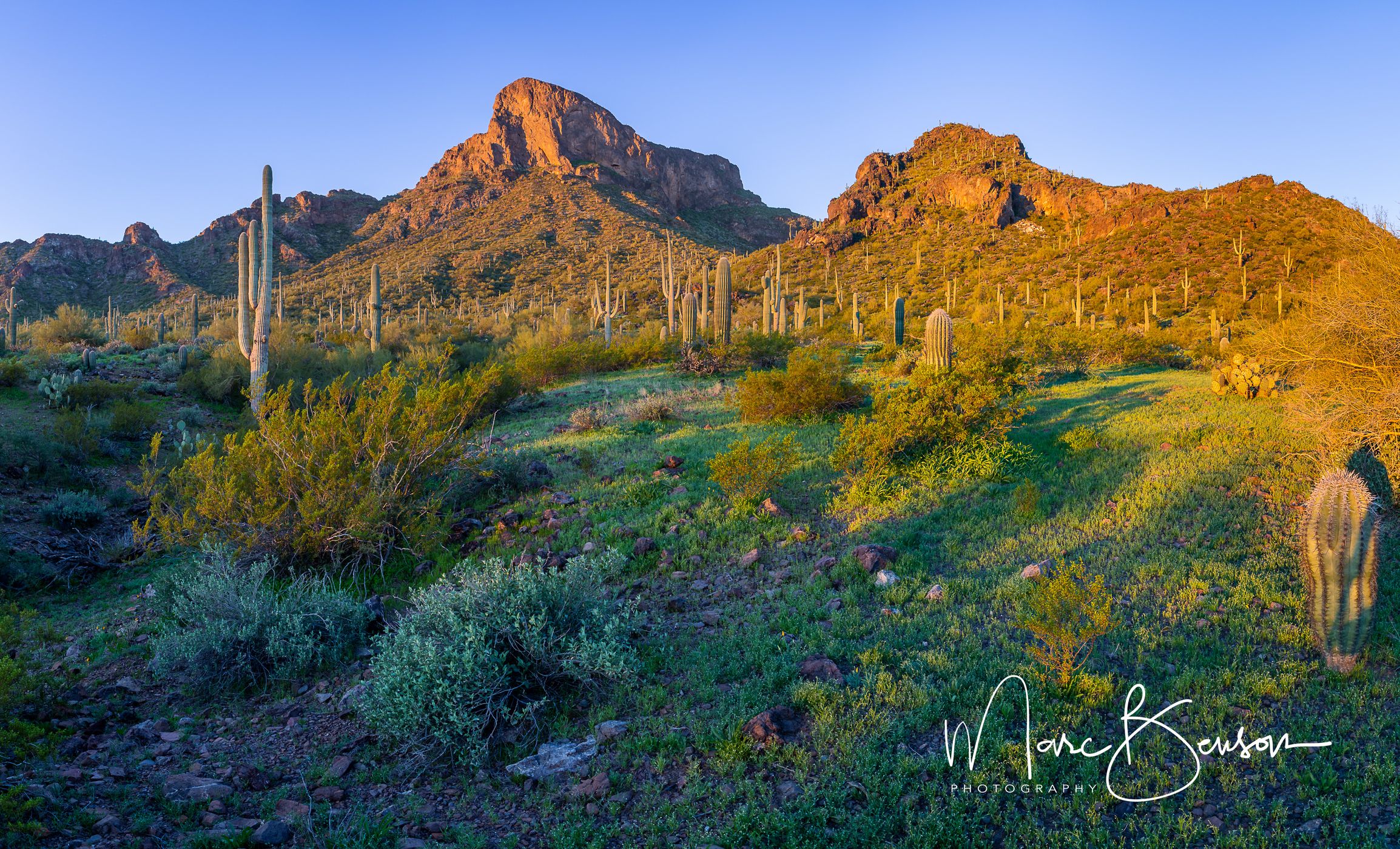 Picacho Peak, USA