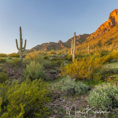 Picacho Peak, USA