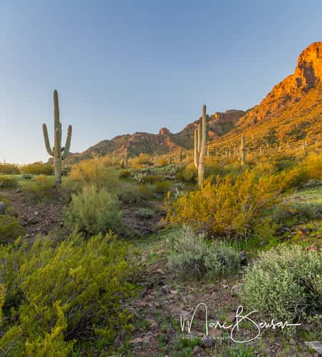 Picacho Peak