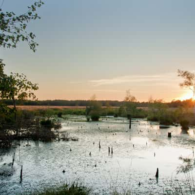 Pietzmoor, Germany