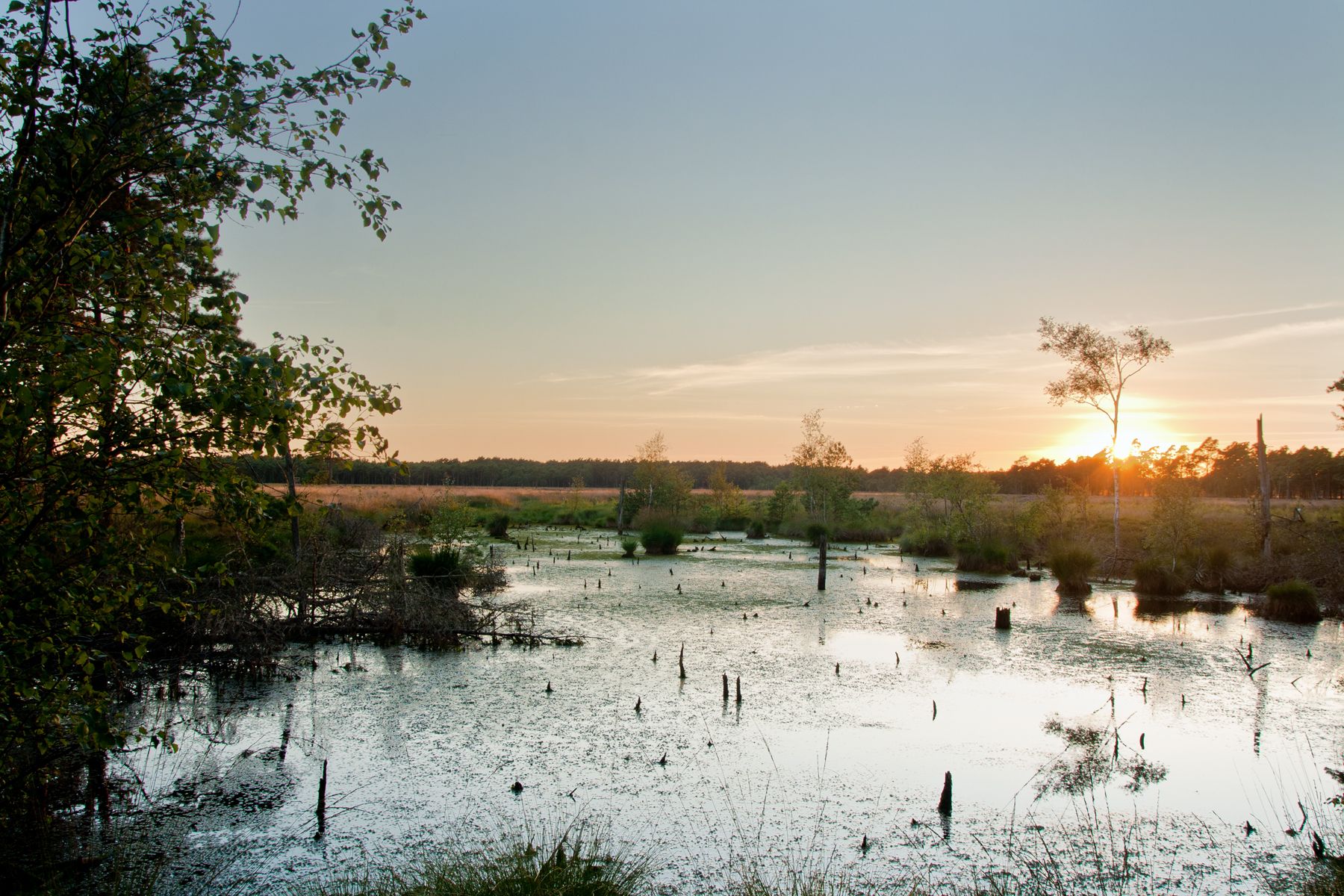 Pietzmoor, Germany