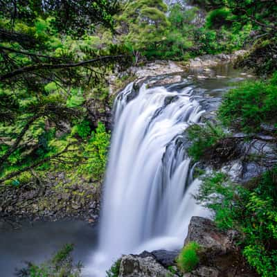 Rainbow Falls, Waianiwaniwa, North Island, New Zealand