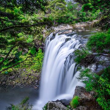 Rainbow Falls, Waianiwaniwa, North Island, New Zealand