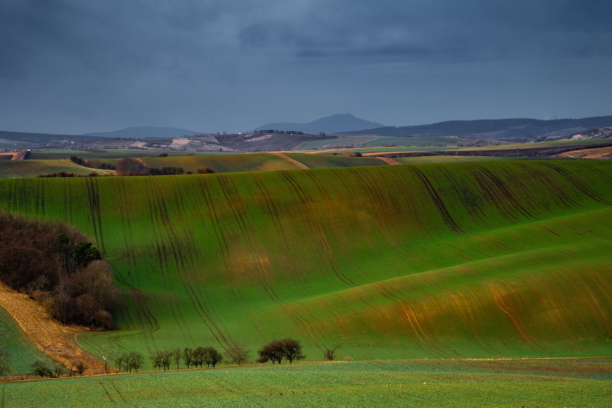 Rolling hills, Moravia, Czech Republic