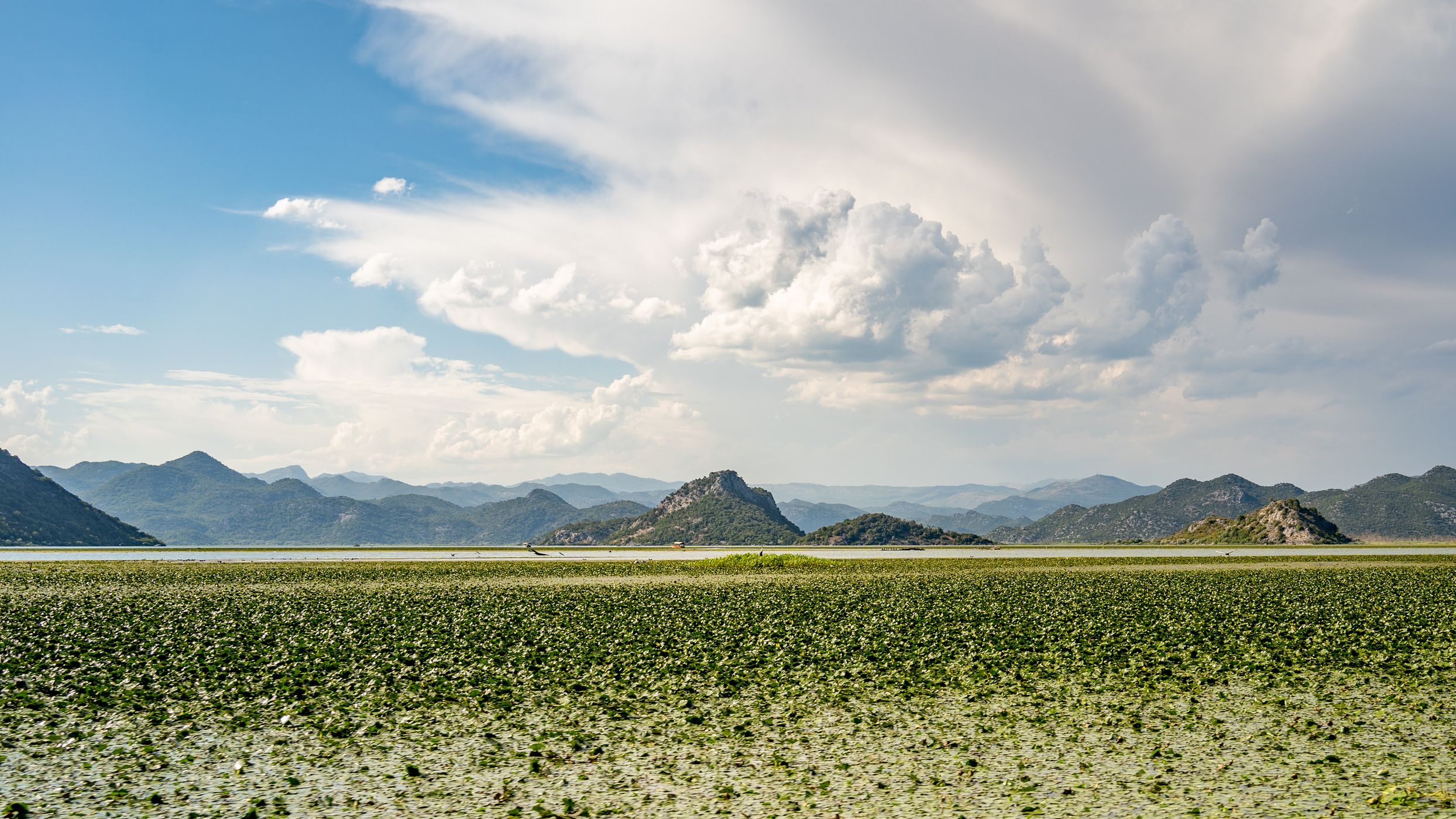 Boat Tour on Skadar Lake, Montenegro