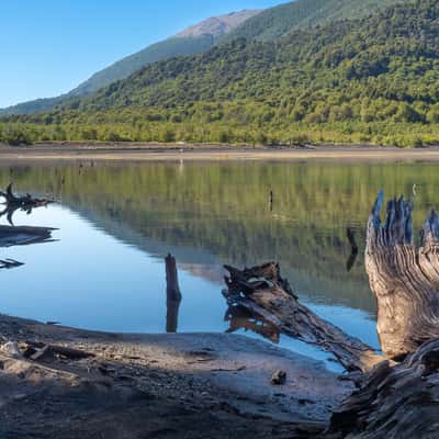 Submerged forests in Laguna verde, Argentina