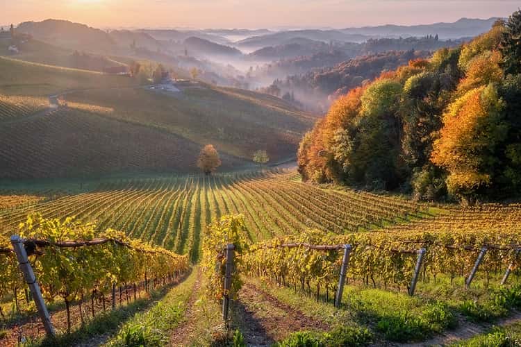 Südsteiermark