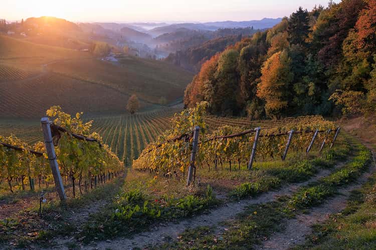 Südsteiermark