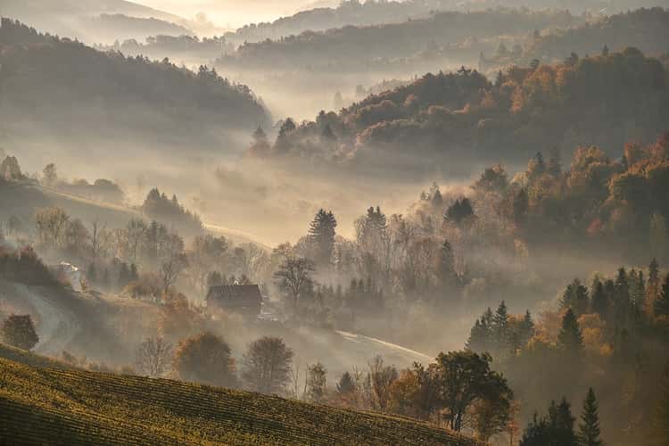 Südsteiermark