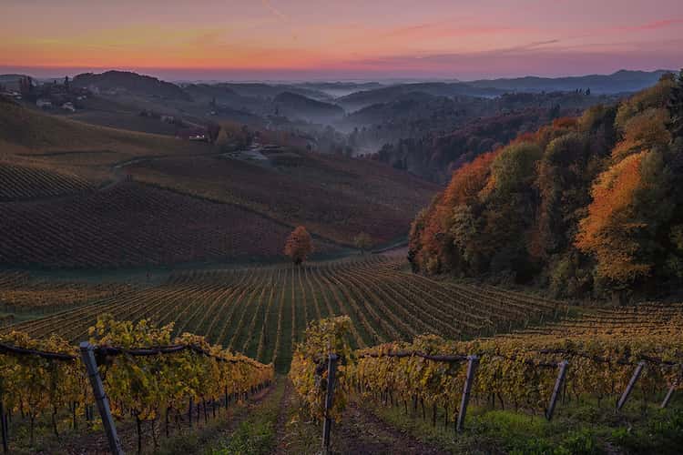 Südsteiermark