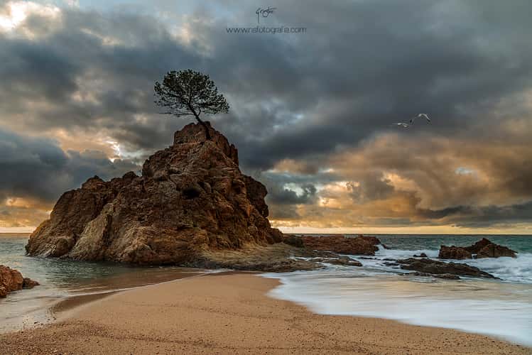 Punta de Sa Llonga, Tossa de Mar