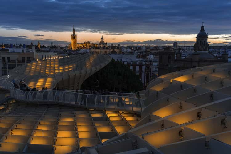 Sunset in the mushrooms of Seville