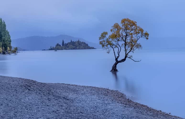Lake Wanaka - The lonely Tree